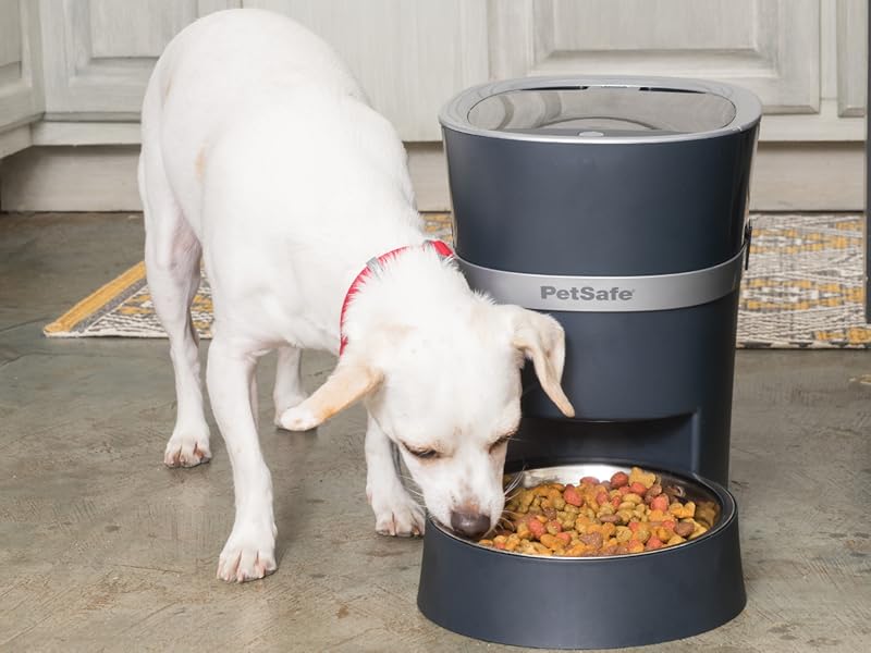 PetSafe Smart Feed, Electronic Pet Feeder for Cats & Dogs, 6L/24 Cup Capacity, Programmable Mealtimes, Alexa, Apple & Android Compatible, Backup Batteries Ensure Meal Delivery During Power Outage