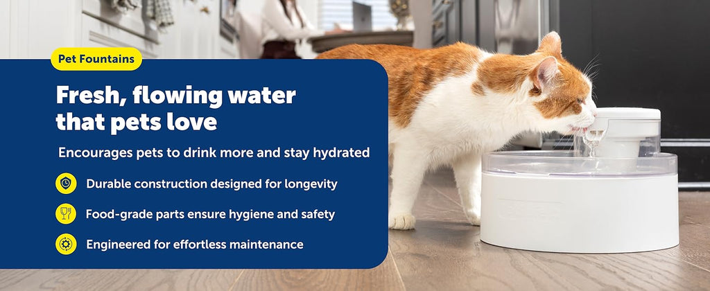 PetSafe Smart Feed, Electronic Pet Feeder for Cats & Dogs, 6L/24 Cup Capacity, Programmable Mealtimes, Alexa, Apple & Android Compatible, Backup Batteries Ensure Meal Delivery During Power Outage