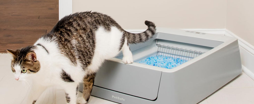 PetSafe ScoopFree Crystal Smart Self-Cleaning Cat Litter Box WiFi (2.4 GHz) & App Enabled Hands-Free Cleanup, Less Tracking, Superior Odor Control Includes Disposable Tray Gray (PAL00-16807)